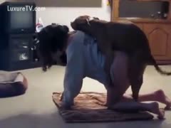 His dark brown dom humping on the ground